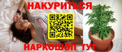 PSILOCYBIN Гуково